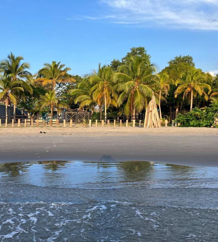 Natural landscape, Beach, Sea view