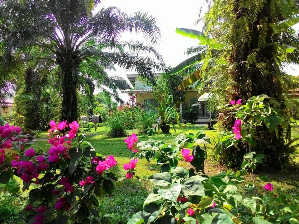 Garden, Garden view