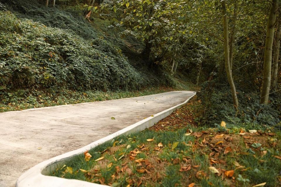 Day, Natural landscape, Summer