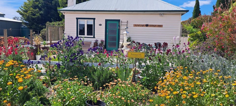 Property building, Spring, Garden, Garden