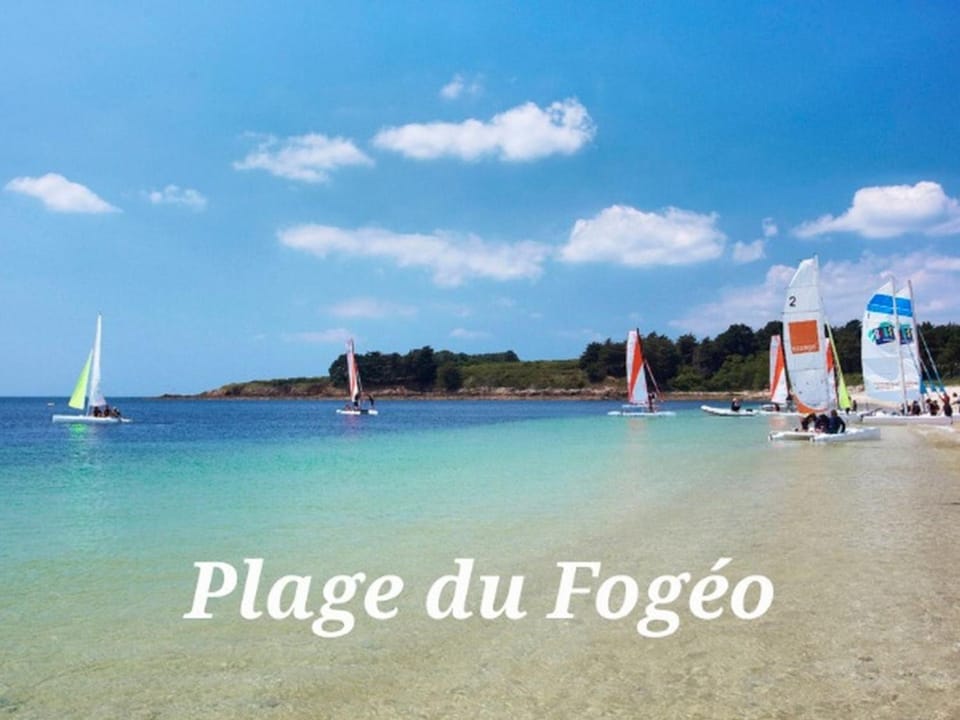 Maison neuve à Arzon, 4 chambres, proche plage, animaux admis - FR-1-775-46 House in Arzon