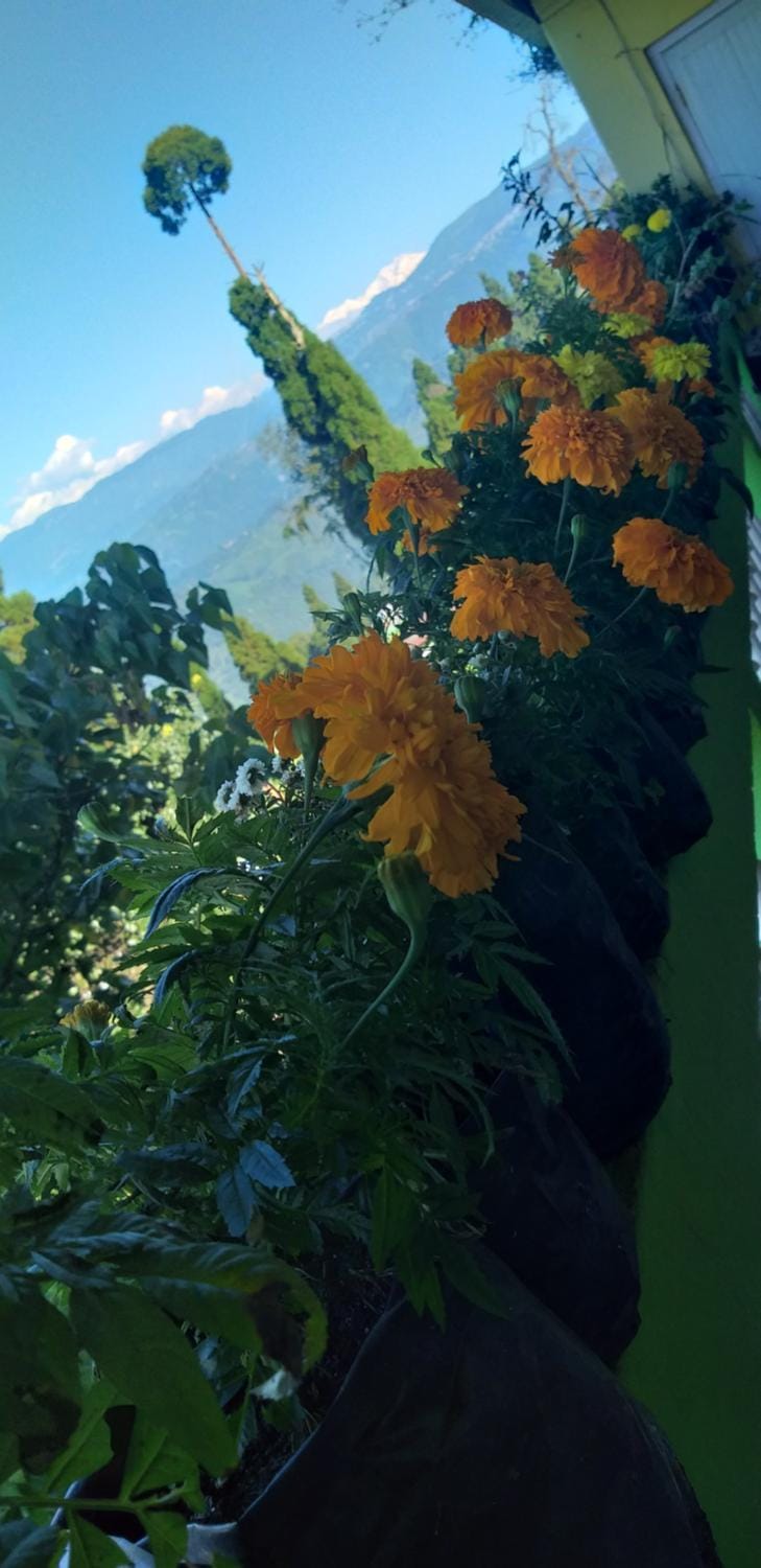 Mountain view