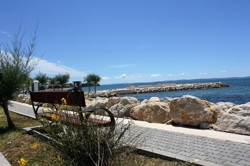 Beach, Area and facilities