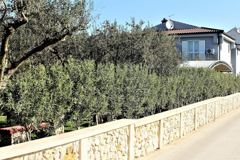 Property building, Garden