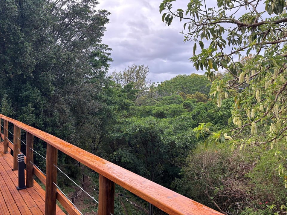Natural landscape, Garden, Balcony/Terrace