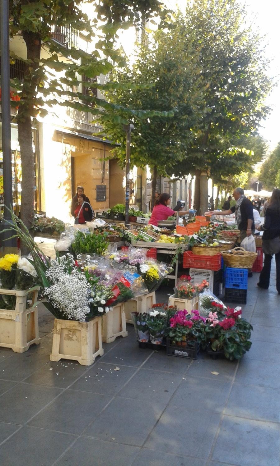 Shopping Area