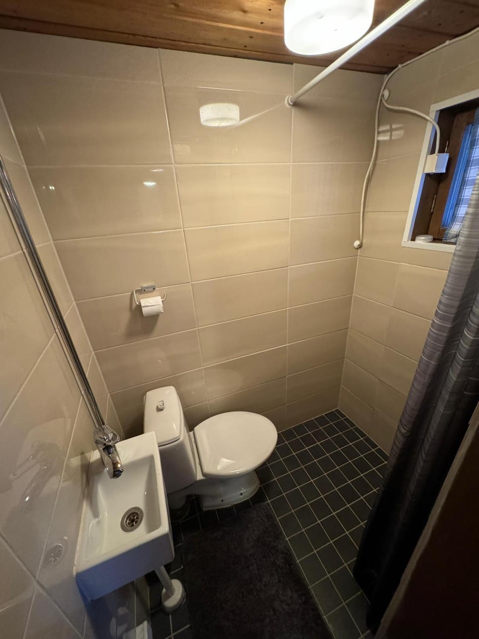 Shower, Toilet