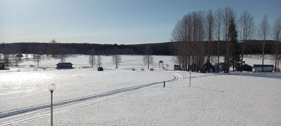 Natural landscape, Winter