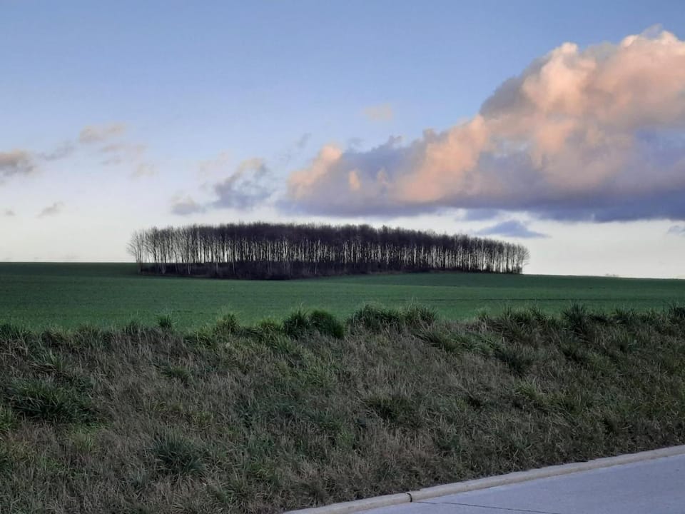 Met een knipoog naar de fruitstreek! Apartment in Flanders