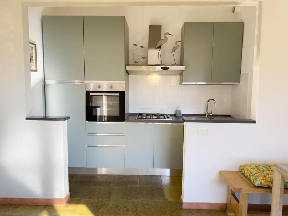 Kitchen or kitchenette, oven, stove
