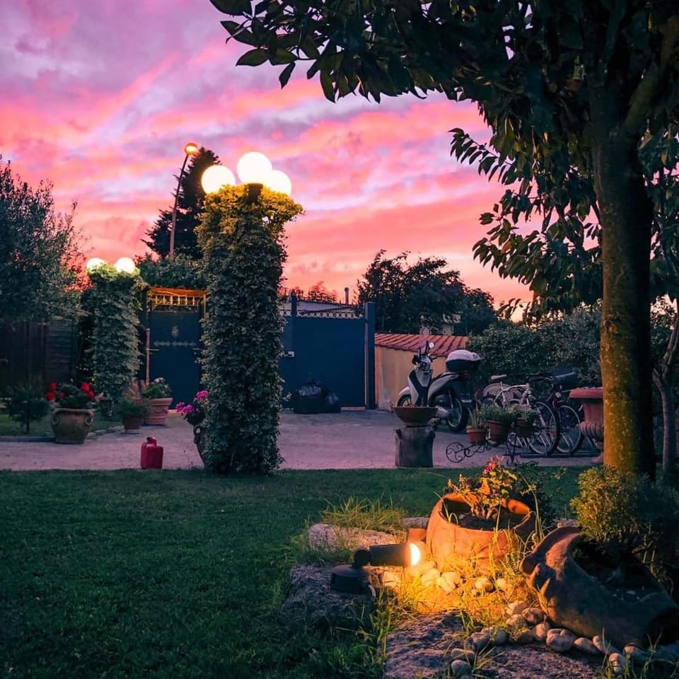 Garden, Sunset