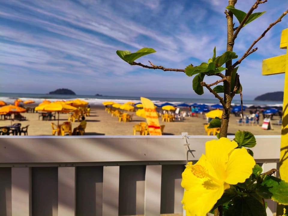 Restaurant/places to eat, Garden view