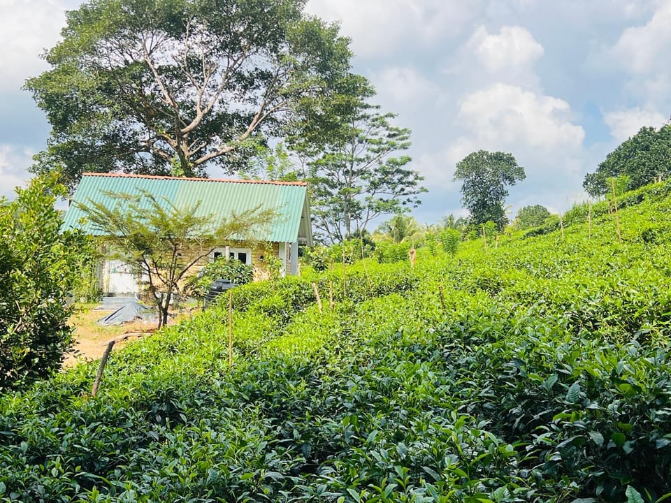 Natural landscape