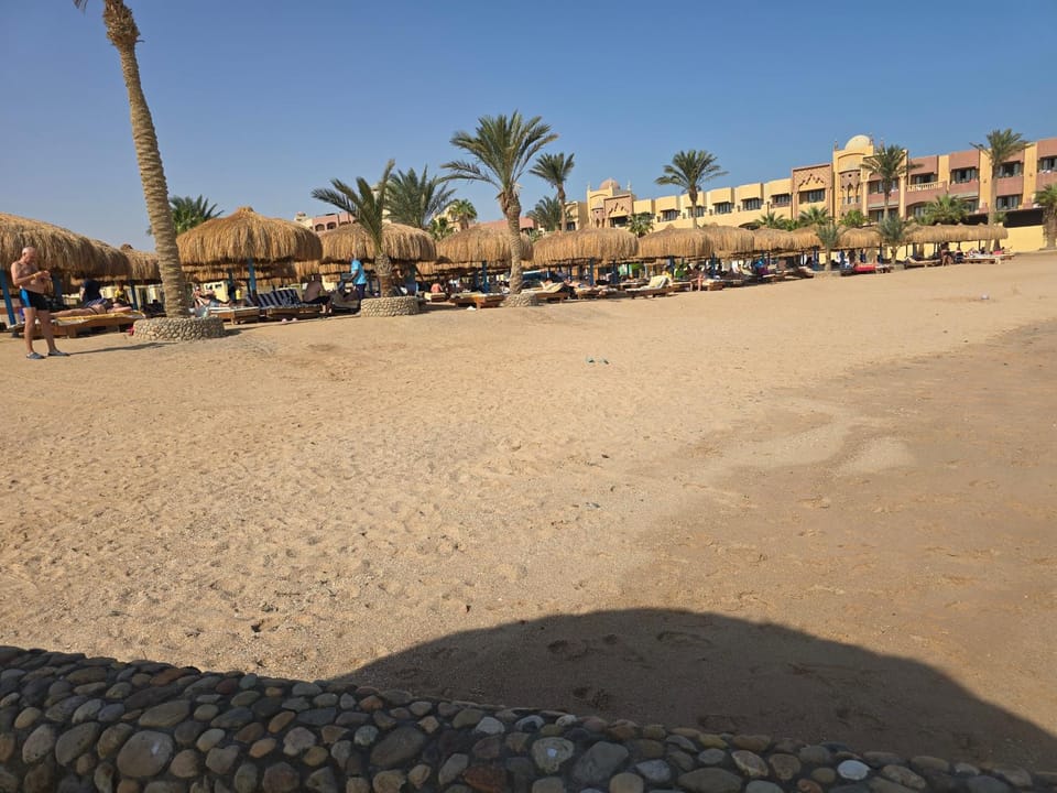 Day, People, Location, group of guests