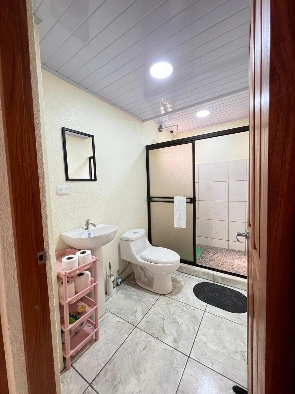 Shower, Toilet, Bathroom, towels
