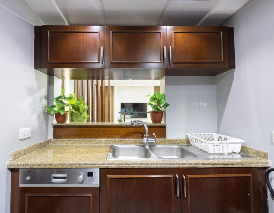 Kitchen or kitchenette, dishwasher, minibar, pet friendly, stove