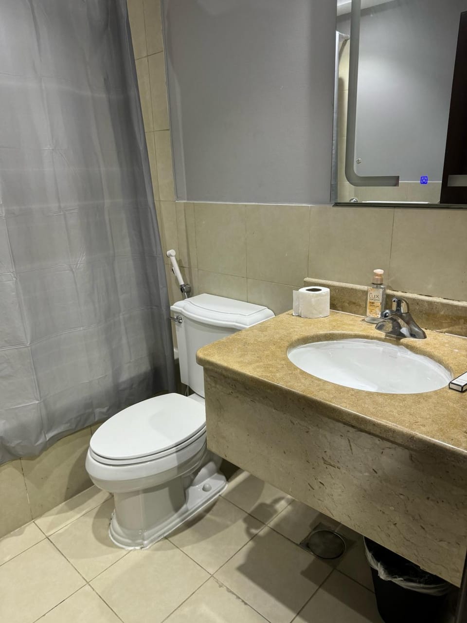 Shower, Toilet, Bathroom, bidet