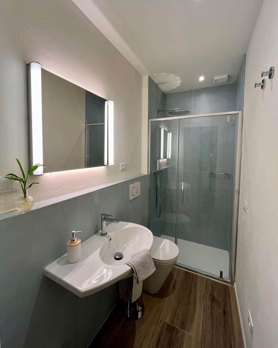 Shower, Toilet, Bathroom, hair dryier, towels