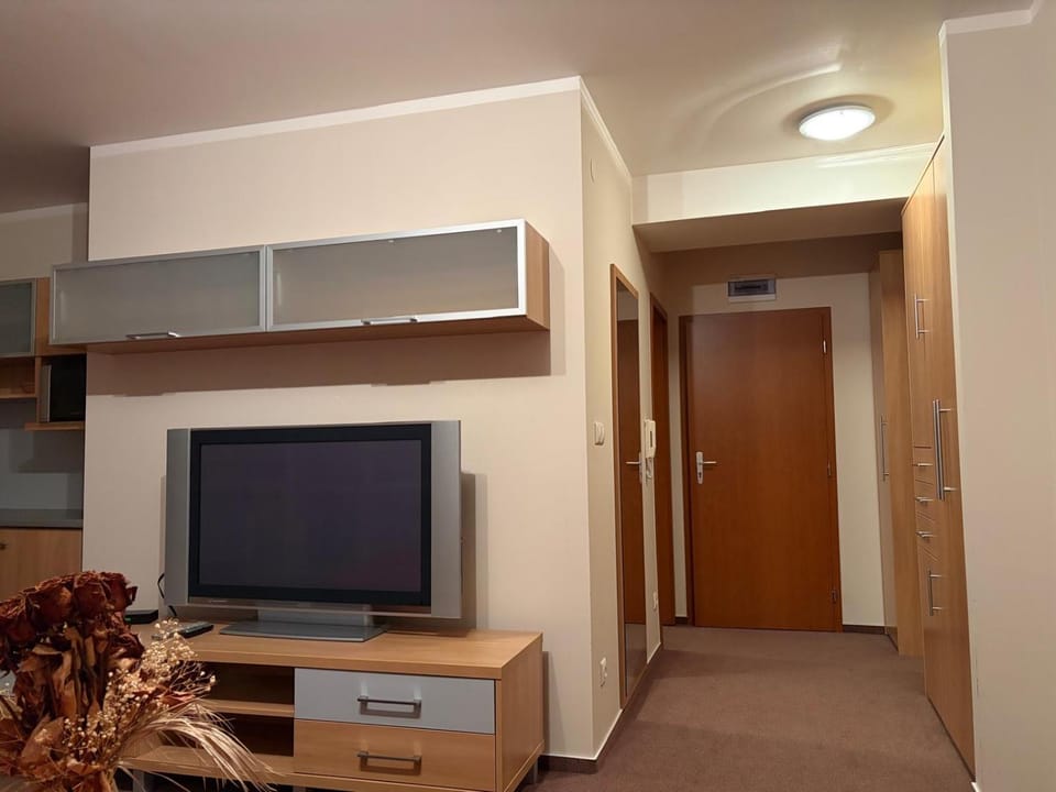 Golem Apartments Apartment in Slovakia