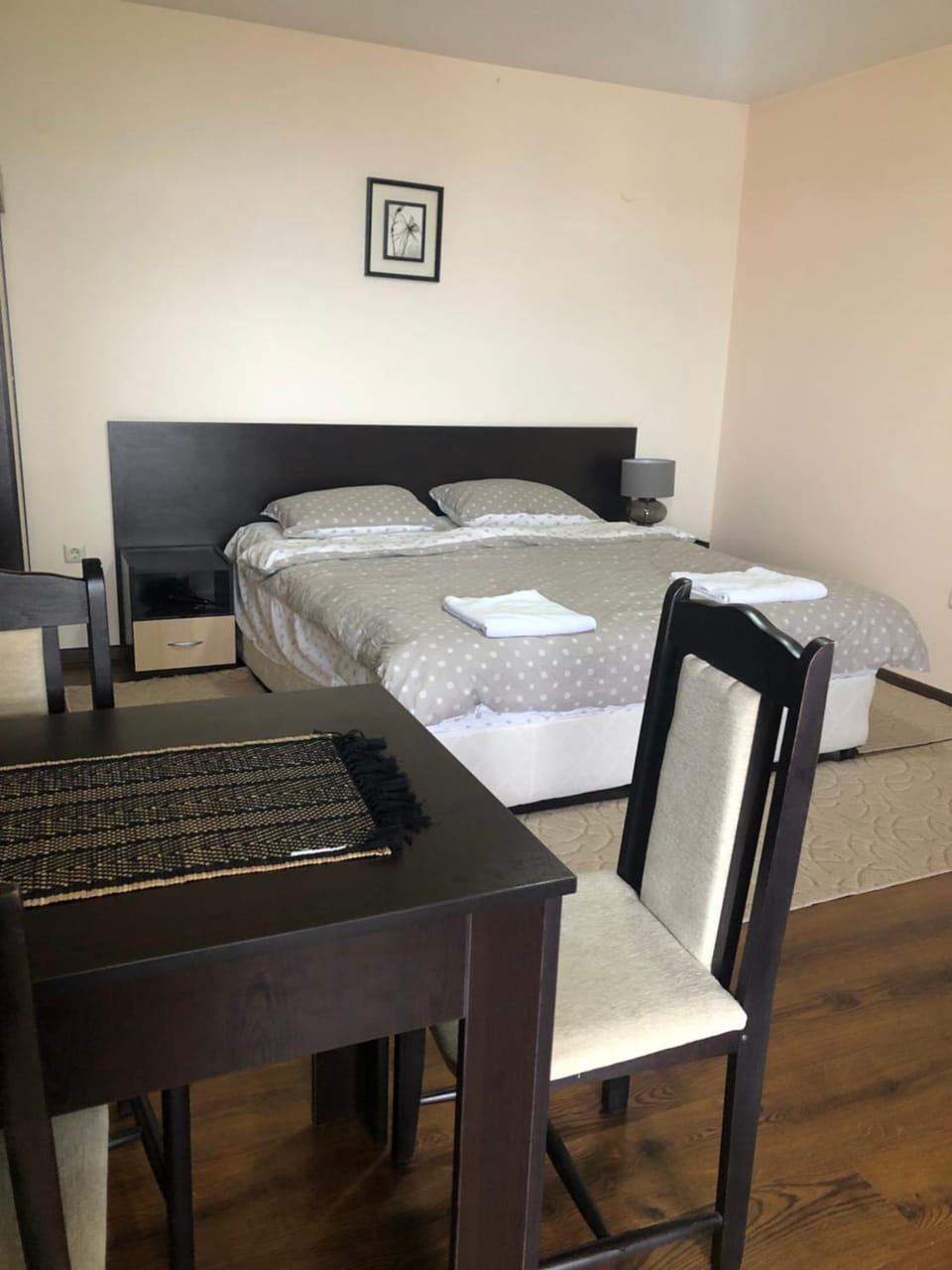 Comfortable and affordable big studio Apartment in Sofia City Province