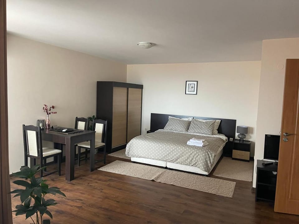 Comfortable and affordable big studio Apartment in Sofia City Province