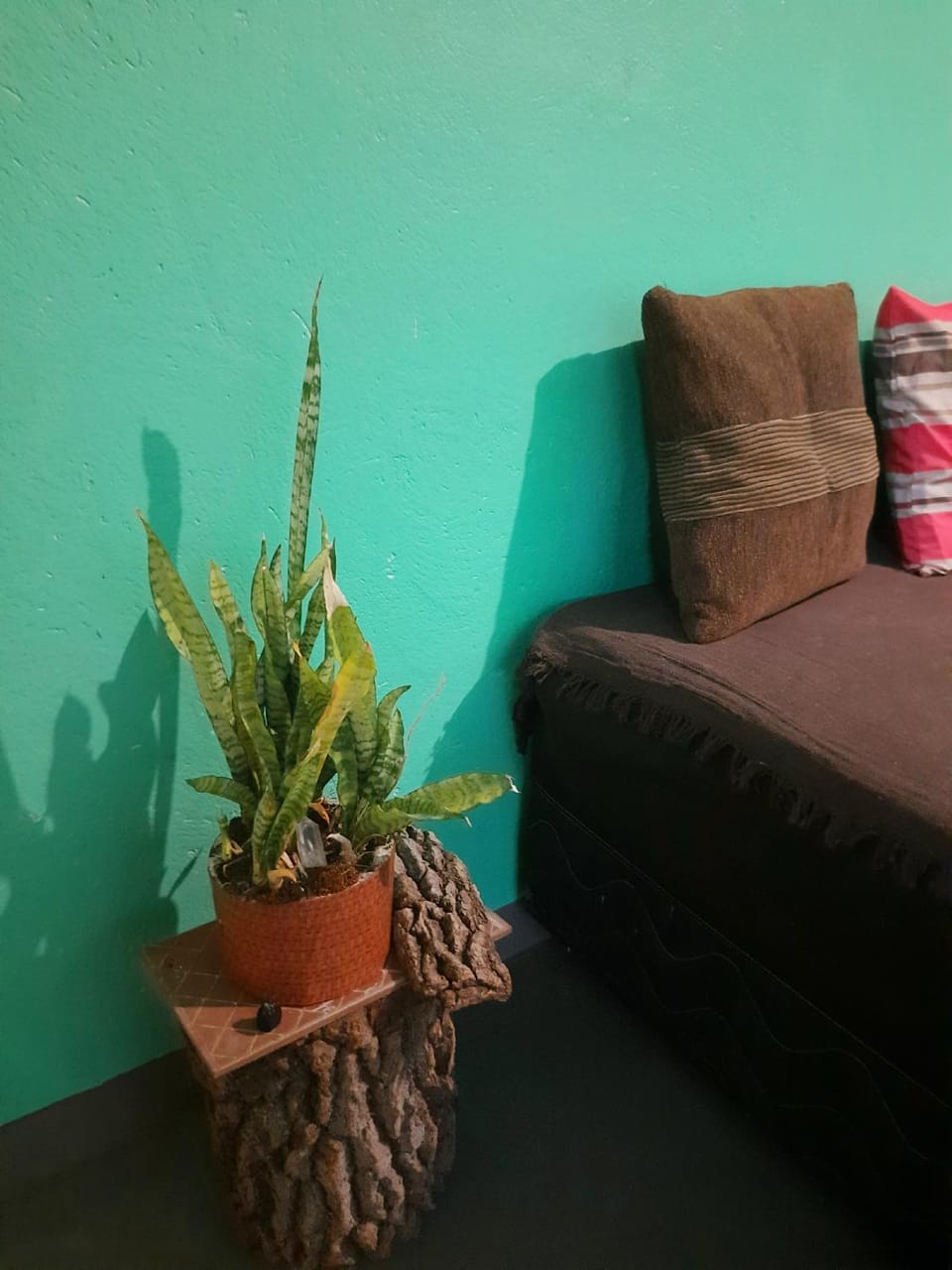 Casa da Pri - 5 Pessoas - Vila São Jorge Vacation rental in State of Goiás