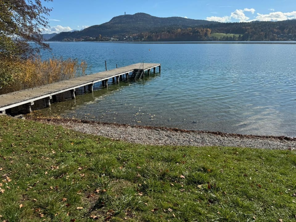 Lakeside Central Apartment Wörthersee - Free covered Parking, Train & Bus & Supermarket with Supercharger Apartment in Techelsberg
