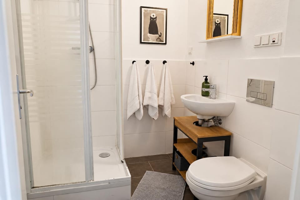 Shower, Toilet, Bathroom, towels