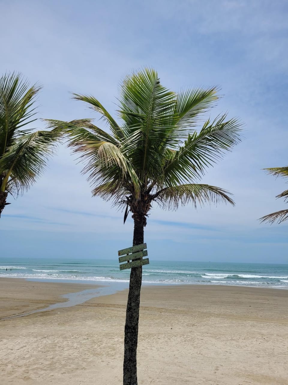Natural landscape, Beach