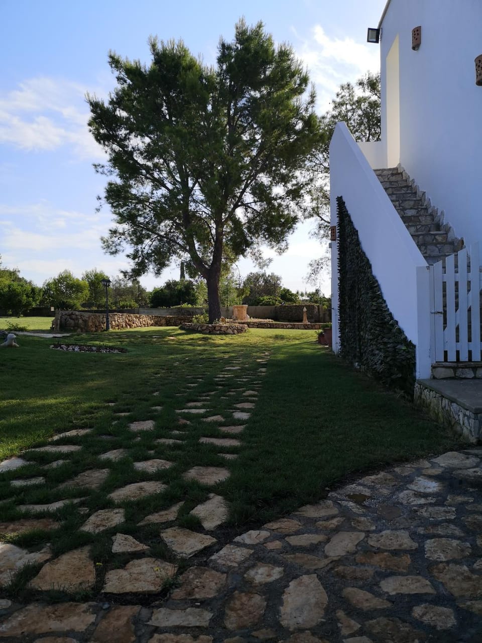 Garden view