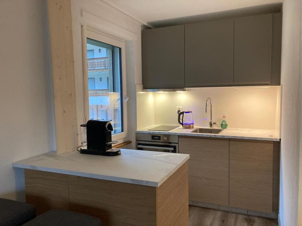 Large 1 bedroom - Free parking - Dream views- Apartment in Canton of Valais