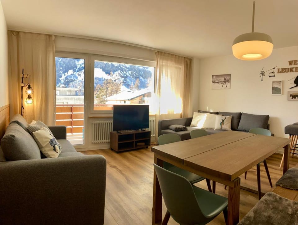 Large 1 bedroom - Free parking - Dream views- Apartment in Canton of Valais