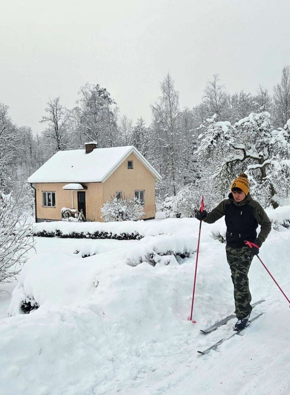 Day, Natural landscape, Winter, Skiing