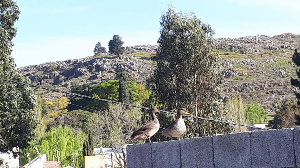 Quinta a las Sierras House in Tandil