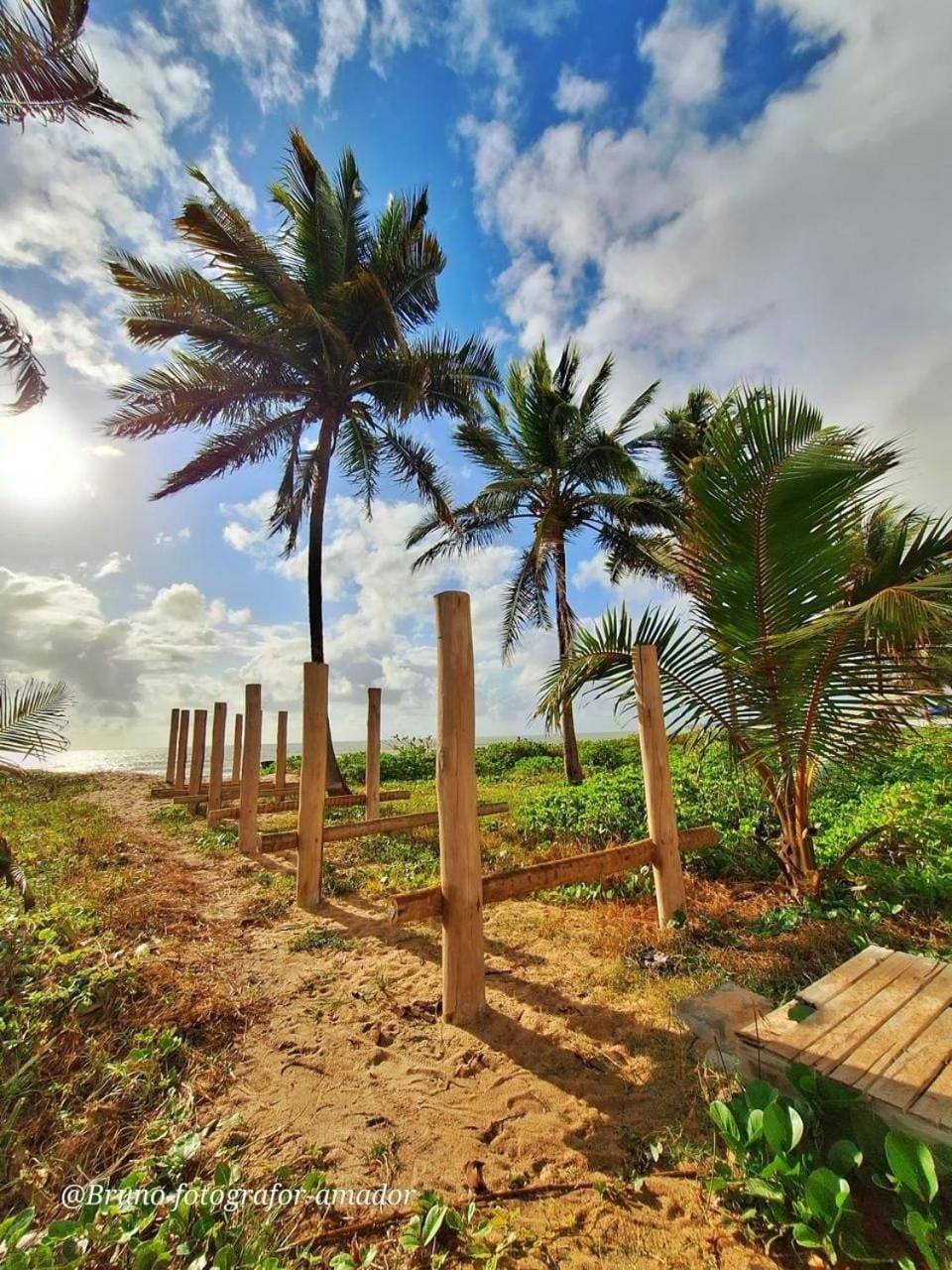Natural landscape
