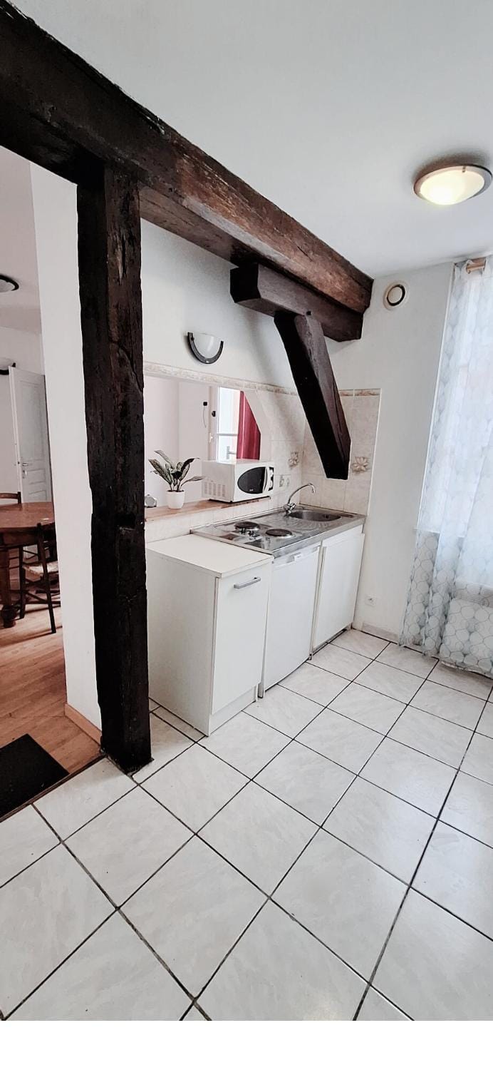 Apartment Antan - Center Apartment in Chartres