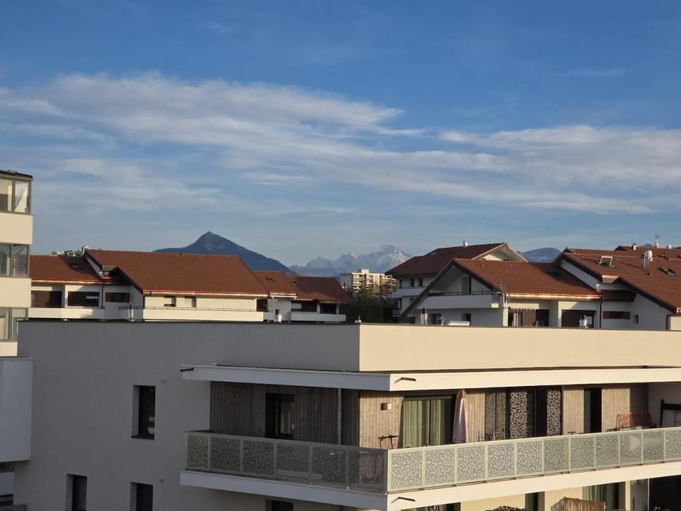 Le Chaleureux Apartment in Annemasse