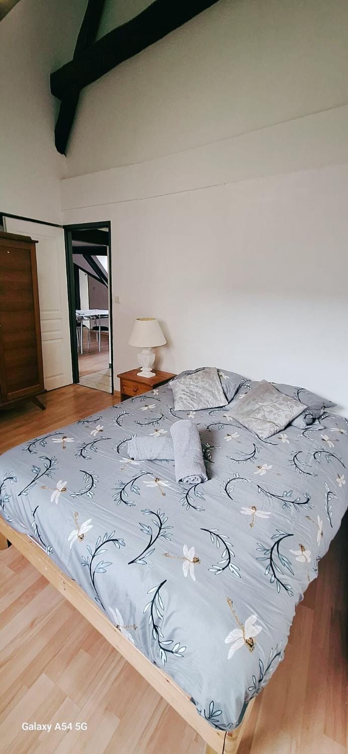 L'Envolée Mansardée - Center Apartment in Chartres