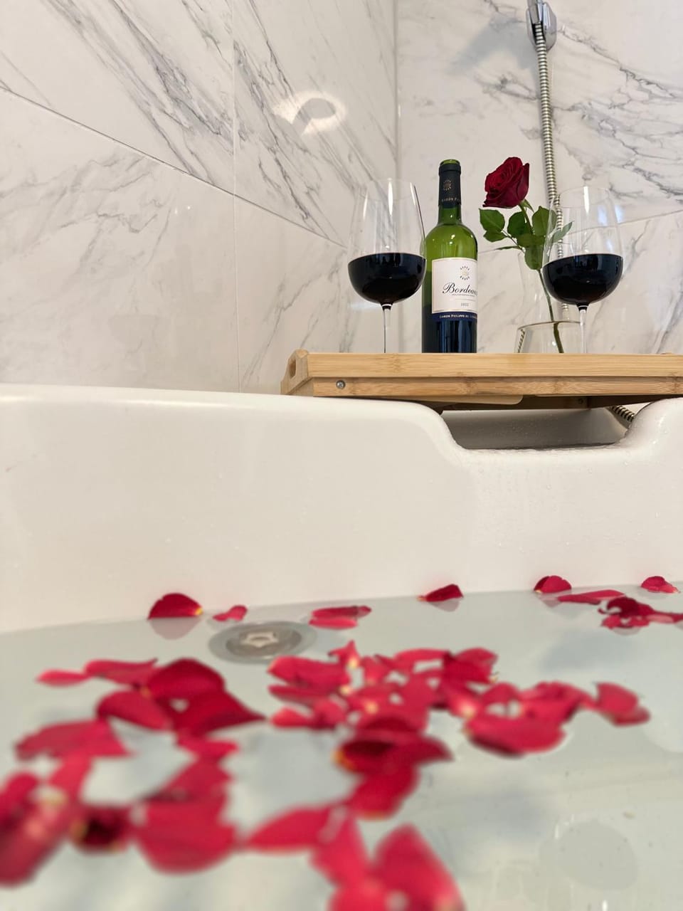Luxury Wellness Villa mit Schlossblick - Sauna & Whirlpool Apartment in Koblenz