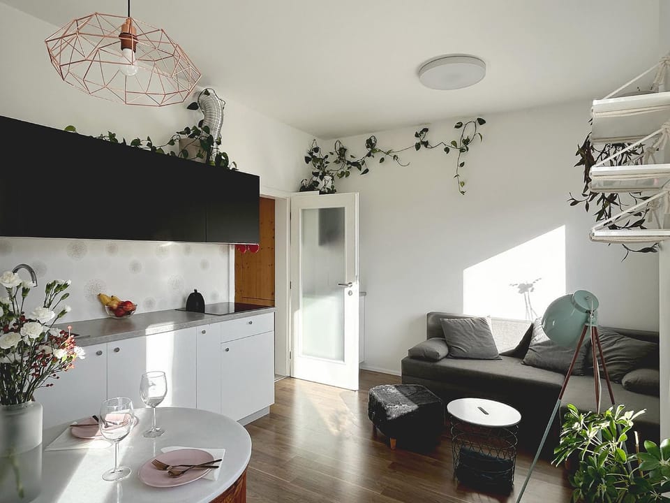 Kitchen or kitchenette, Living room