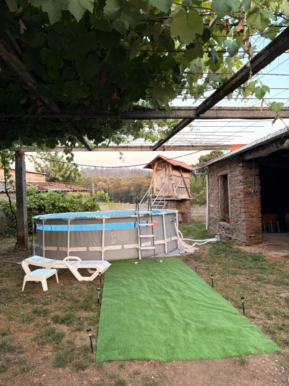 Garden, Swimming pool