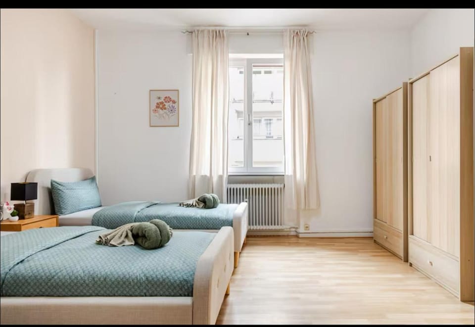 Worms City Apartment Apartment in Worms