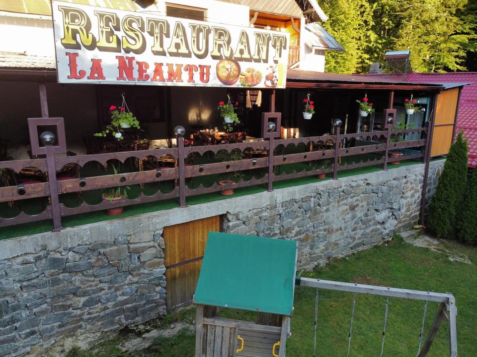 La Neamțu House in Timiș County