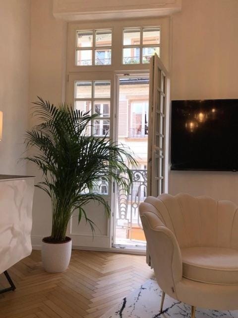 HYPER CENTRE CATHEDRALE Strasbourg Apartment in Strasbourg
