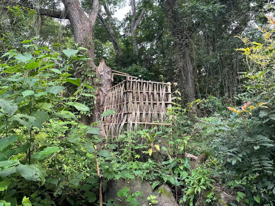 Shower, Natural landscape
