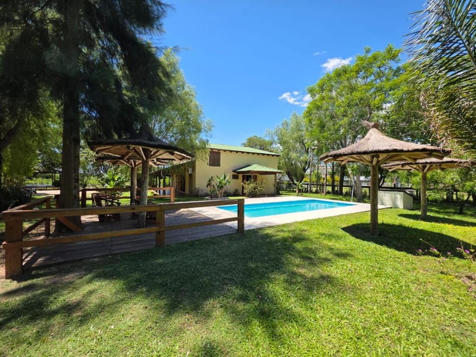 Natural landscape, Garden, Garden view, Pool view, Swimming pool, sunbed