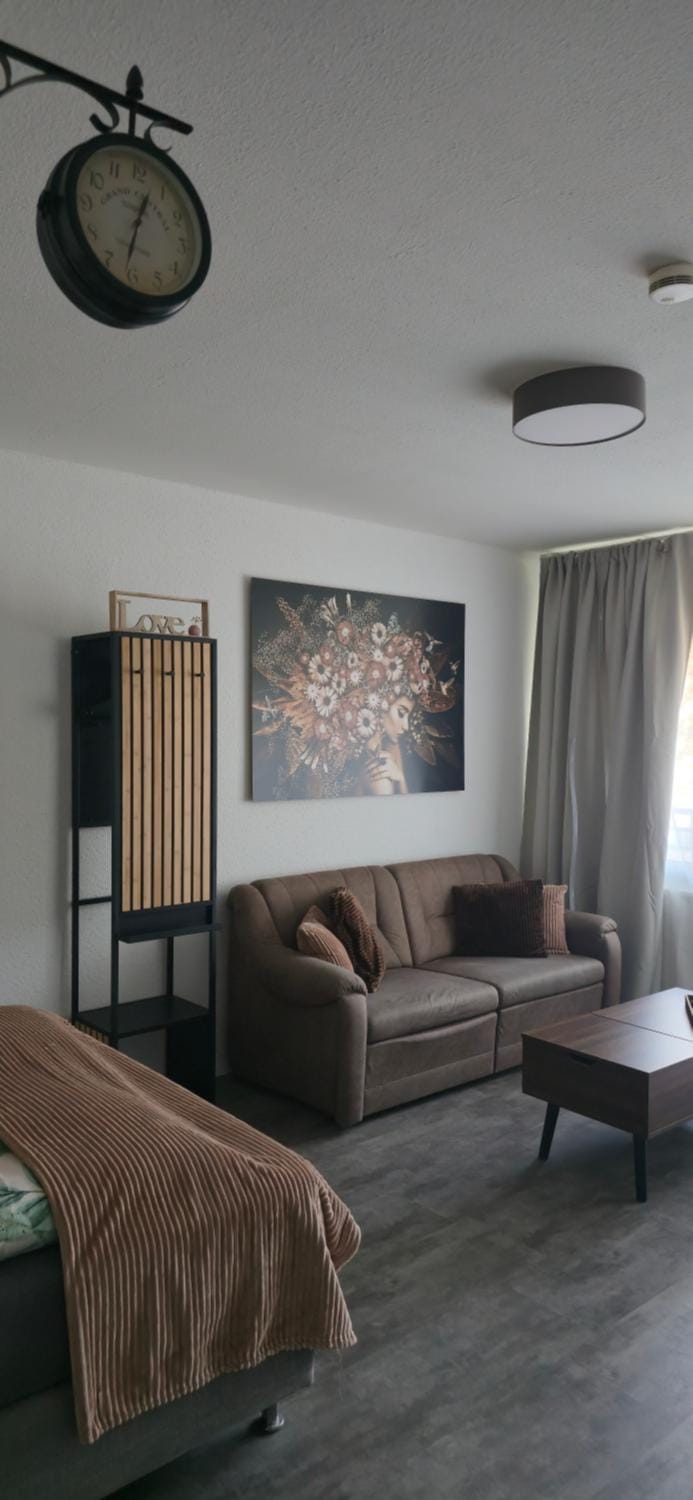 Living room, Photo of the whole room