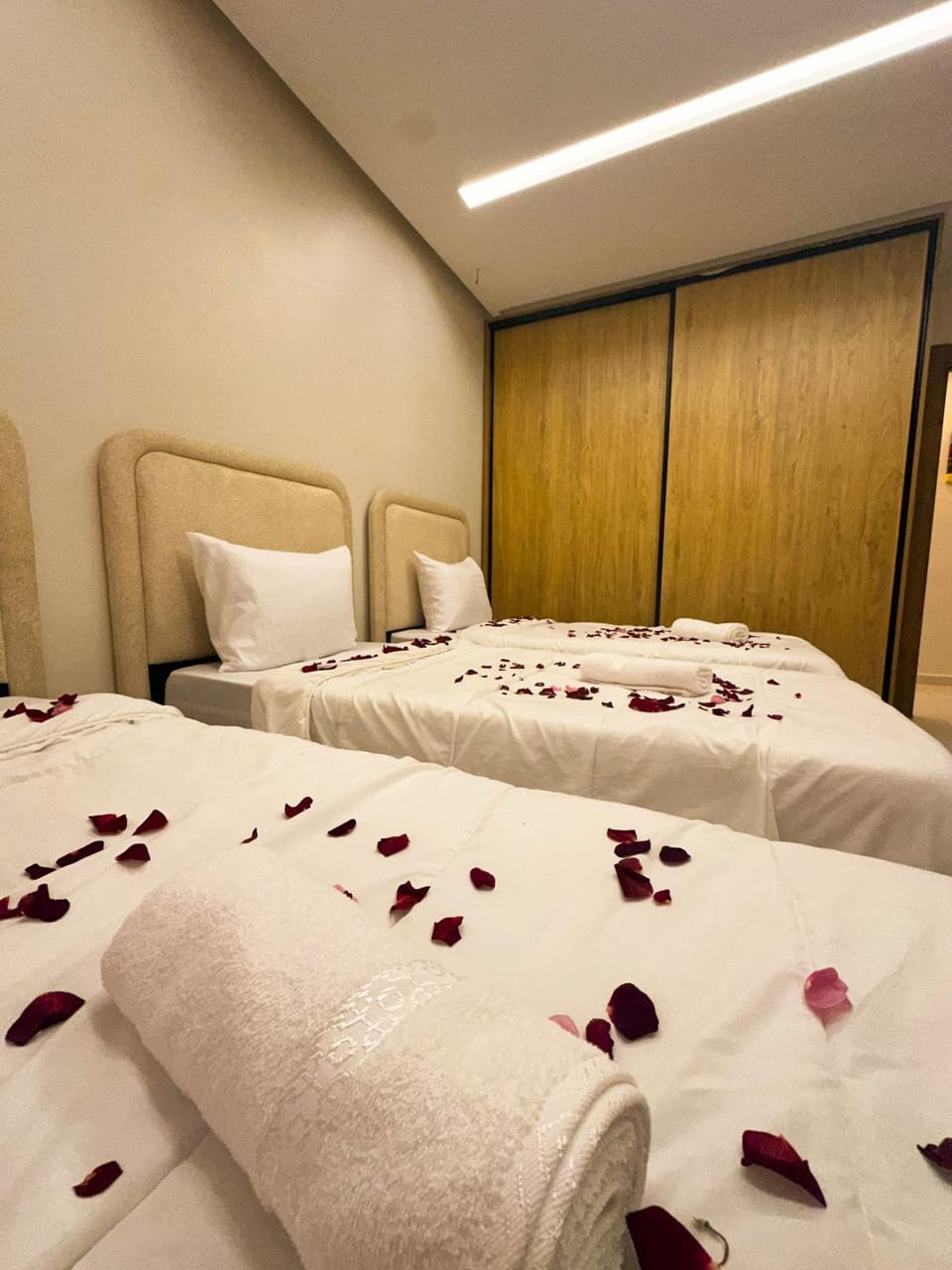 Bed, Photo of the whole room, Bedroom, wardrobe