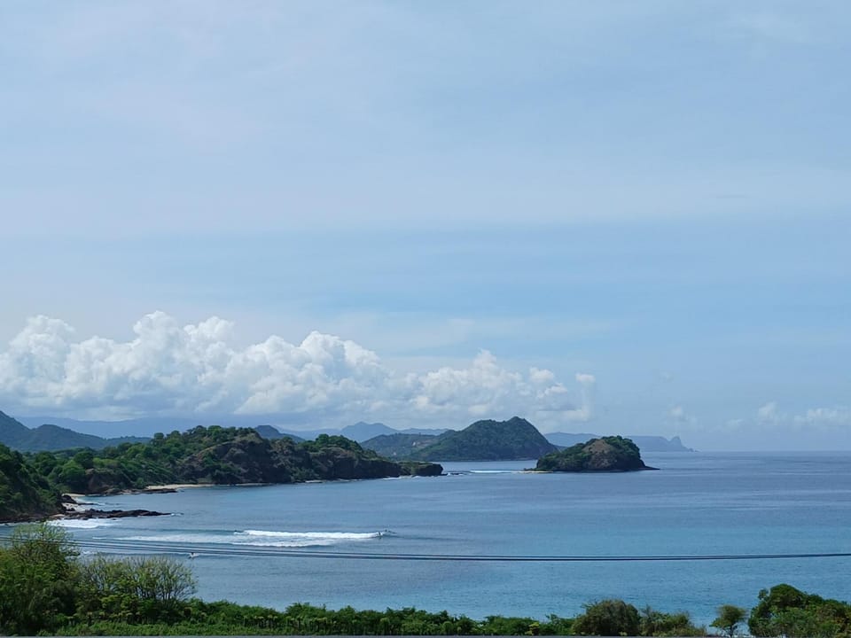 View (from property/room)