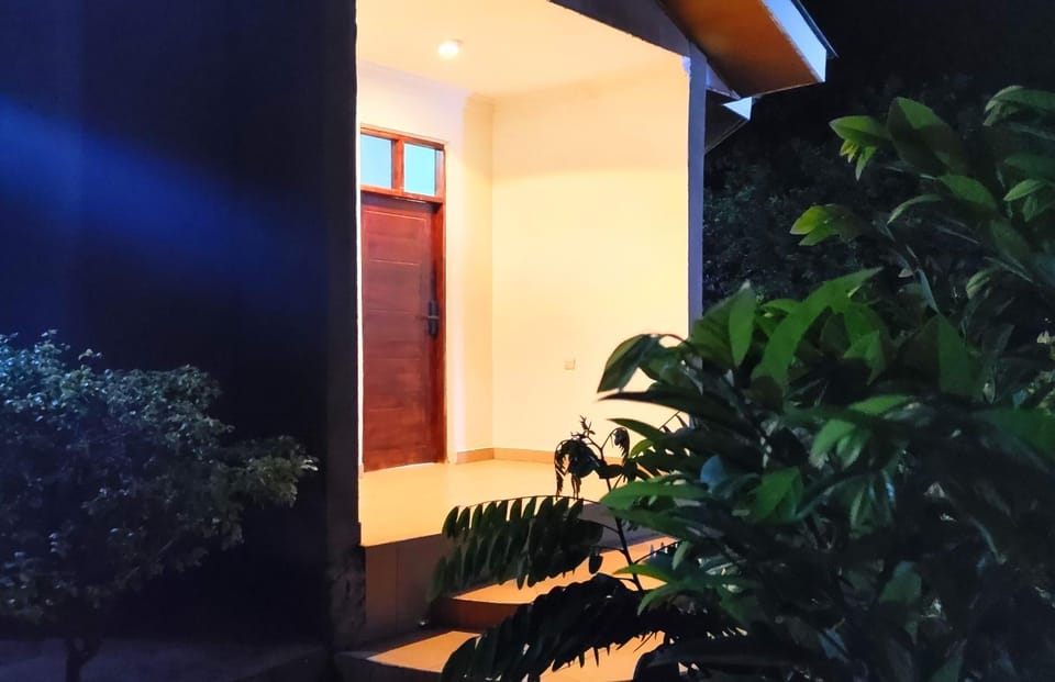 Property building, Night, Garden, Garden view